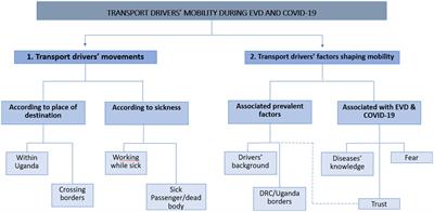 Risk perception of Ebola virus disease and COVID-19 among transport drivers living in Ugandan border districts